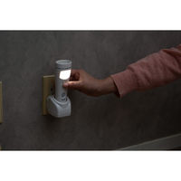 太知ホールディングス マルチセンサーライト KBN-504 1台（直送品）