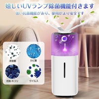 ケイ・エス・ケイ 21L 超音波加湿器 BE-J001 1台（直送品）