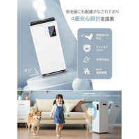 ケイ・エス・ケイ 20L 蒸気加湿器 H20 1台（直送品）