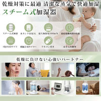 ケイ・エス・ケイ スチーム式加湿器 大容量 3L JS03 1台（直送品）