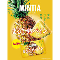 タブレット ポケットタイプ ミンティア　まるで熟パイン 1セット（1個×10）
