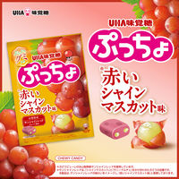 ソフトキャンディ ぷっちょ　赤いシャインマスカット味 1セット(1個×6)