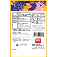 フルーツチップス 食べきりサイズ 噛む果実感 マンゴーのチップ　30g 1セット(1個×12)