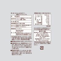 フルーツチップス 食べきりサイズ みんなのおやつ　濃旨バナナチップス 1セット(1個×24)