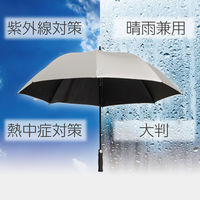 カワセ レジャーアンブラ BD-5 1本（直送品）