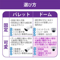 DXアンテナ 防犯カメラ 監視カメラ PoE給電 可変焦点 ドーム型 屋外 防水防塵 200万画素 CNE3CDZ1（直送品）