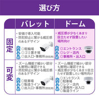 【アウトレット】DXアンテナ 防犯カメラ 監視カメラ PoE給電 固定焦点 ドーム型 屋外 防水防塵 200万画素 CNE3CDF1