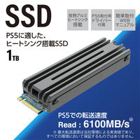 SSD 内蔵 1TB M.2 2280 PCIe Gen4.0 x4 NVMe 1.4 ESD-IPS1000G エレコム 1個