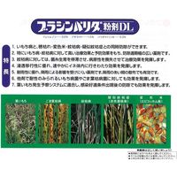 住友化学 ブラシンバリダ粉剤DL 3kg #2056802 1袋（直送品）