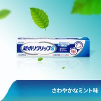 入れ歯安定剤 部分用 総入れ歯用 新ポリグリップS お口さわやかミント味 40g Haleonジャパン