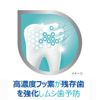 ポリデント デンタルラボ 薬用ハミガキ【医薬部外品】 歯周病 (歯肉炎・歯槽膿漏) 予防 100g Haleonジャパン