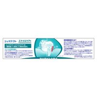 シュミテクト エナメルケア+ 〈1450ppm〉 90g Haleonジャパン 歯磨き粉 薬用高濃度フッ素配合