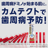 歯磨き粉 カムテクト コンプリートケアEX 歯周病（歯肉炎・歯槽膿漏）予防 105g Haleonジャパン
