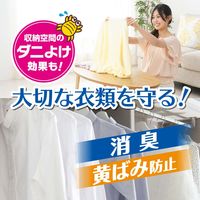 ドライ&ドライUP 除湿剤 シートタイプ クローゼット用 1セット(6シート：1個2シート入×3個) 白元アース