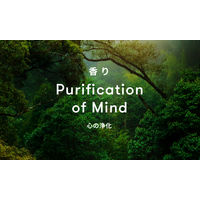 SINN PURETE（シンピュルテ） マインドフル フレグランス ノンアルコール ピュリフィケーション・オブ・マインド100mL