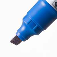 パイロット 油性ツインマーカー 細・太 ブルー MFN-15FB-L 1本