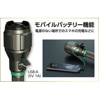 イチネンアクセス マストツール 充電式フラッシュライト 12000lm 87259 MFL-12001R 1個（直送品）