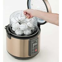 ファミリー・ライフ 黒にんにく発酵器DX II a25844 1個（直送品）