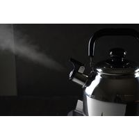 和平フレイズ リラカン IH対応笛吹広口ケトル4.6L RB-2236 1個