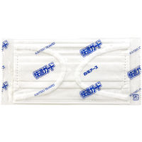 快適ガードマスク こども用サイズ 1箱（30枚入）個別包装 白元アース