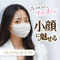 ビースタイル プリーツ ふつうサイズ ホワイト 1箱（20枚入） 白元アース