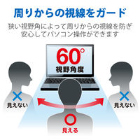 プライバシーフィルター CF-RZシリーズ用 10.1インチ のぞき見防止 抗菌 ブルーライトカット EF-PFKP01 エレコム 1個（直送品）