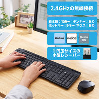 ワイヤレスキーボード マウスセット 無線 静音 フルサイズ 抗菌 メンブレン TK-FDM116SKMBK エレコム 1個（直送品）
