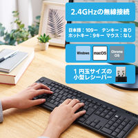 ワイヤレスキーボード 無線 静音 フルサイズ 抗菌 メンブレン ブラック TK-FDM116SKTBK エレコム 1個（直送品）
