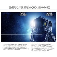 JAPANNEXT 27インチ WQHD液晶モニター JN-T27WQHD-C65W 1台