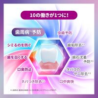 歯みがき粉 シュミテクト フッ素 歯周病プラスEXプレミアム マイルドミント ハミガキ Haleonジャパン 90g 1本