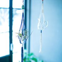 クロバー プラントハンガーゲージで作る お部屋を彩るプラントハンガー 71323 1セット(10P)（直送品）