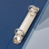 キングジム ＦＶ　リングフアイル（透明）　ネイ FV621Tネイ 1セット（10冊）