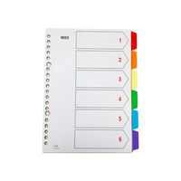 テージー カラーインデックスPP A5 IN-2206 1セット(20パック)