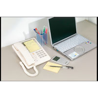 ニチバン ポイントメモPー111 P-111 1セット(20個)