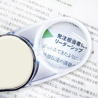 共栄プラスチック LEDスイングルーペ ベージュ SRC-BE 1セット(1個×2)