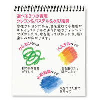 ヤマト 水性クレヨン シルキーツイスター ブルー CLST-8H 1セット(10本)