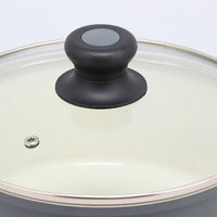 LIV PLUS 片手鍋 18cm セラミック IH ガス アリエッタセラミック ND-3616 1個（直送品）