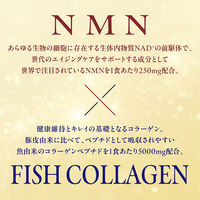 アミノコラーゲン NMN（約28日分） 1袋（196g） フィッシュコラーゲン100％ 明治