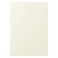 デザインフィル MDノート [A5] 1日1ページ 無罫B クリーム 15389006 1冊（直送品）