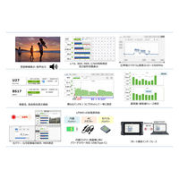 リーダー電子 RFフィールドテスター LF995 1個（直送品）