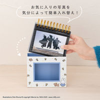 ナカバヤシ フォトランク フレームケースL ブルーナ ホワイト A-FTPC-208-2 1個（直送品）