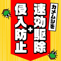 カメムシ 駆除剤 スプレー カメムシコロリ ジェット 350mL 1セット（1本×2） カメムシ対策 殺虫剤 ベランダ アース製薬