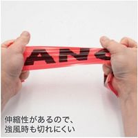 ワールドツール アストロプロダクツ AP バリケードテープ 30m DANGER 2016000011388 1個 669-0100（直送品）