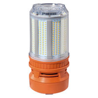 アイリスオーヤマ LED小型バルーンライトLWB-22000FK LWB-22000FK 1個（直送品）