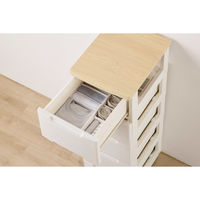 アイリスオーヤマ インナーボックス チェスト用 Sサイズ【ケース販売用】 FIB08S ホワイト 1個（直送品）