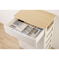 アイリスオーヤマ インナーボックス チェスト用 Mサイズ【ケース販売用】 FIB15M ホワイト 1個（直送品）