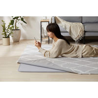 アイリスオーヤマ Ｈａｇａｓｈ はがして洗える Ｈａｇａｓｈ カバーベニワレン風 幅1850×奥行1850mm グレージュ 1枚（直送品）