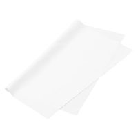 アイリスオーヤマ 軽くて割れないフィルムミラー マグネットタイプ 幅280×奥行27×高さ1500mm 1枚（直送品）