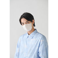 アイリスオーヤマ FASHIONABLE MASK 立体 ふつうワイド 10枚入 ホワイト RN-FA10MW 1箱(180袋入)（直送品）