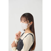 アイリスオーヤマ FASHIONABLE MASK 立体 ふつう 10枚入 ホワイト RN-FA10SW 1箱(180袋入)（直送品）